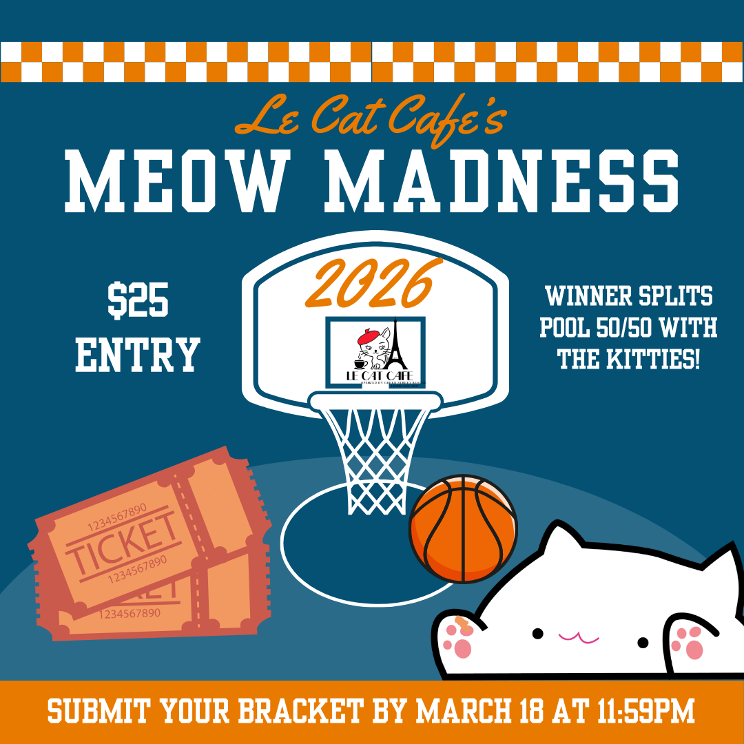 2026 Meow Madness_Socials (1)